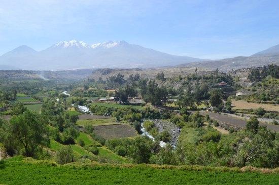 AREQUIPA - PERU - campo