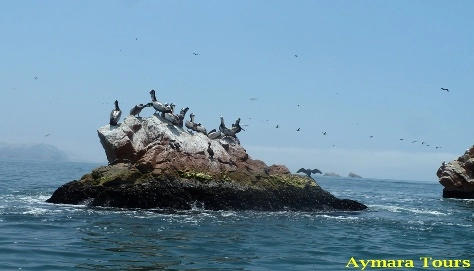 Paracas - Peru